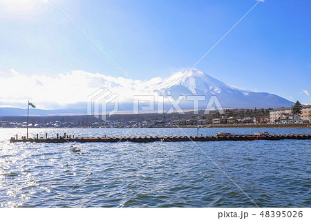 【山梨県】冬の山中湖と富士山・白鳥 48395026