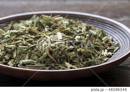 《ハーブ》　　アルファルファ 48396349