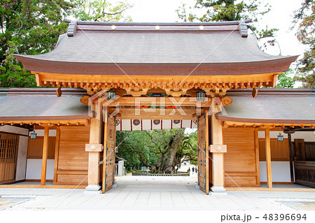 大山祇神社の神門から見える大楠 大山祇神社の神門から見える大楠 48396694