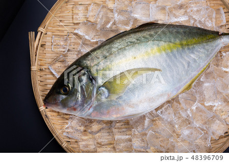 しまあじ　食材 48396709