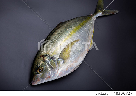 しまあじ　食材 48396727