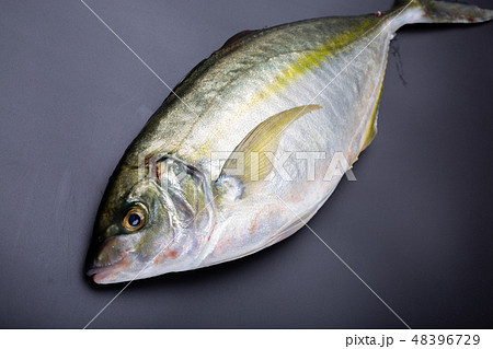 しまあじ　食材 48396729