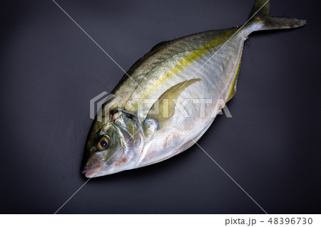 しまあじ　食材 48396730