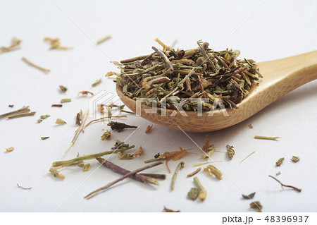 ハーブ アイブライトの写真素材