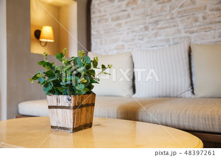 plant bucket decorated on table 48397261