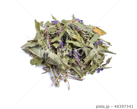 Chamaenerion, willowherbs or fireweeds 48397341