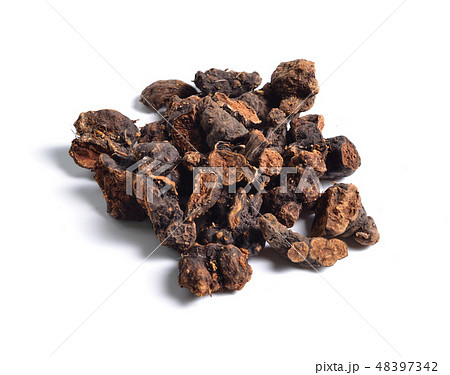 Root of Alpinia officinarum, lesser galangal. 48397342