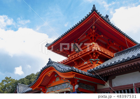 伊佐爾波神社 八幡宮 斜め下から 48397531