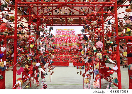 お雛様 真岡市 久保講堂 お雛様 真岡市 久保講堂 48397593