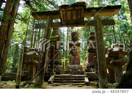 高野山 奥の院 薩摩 島津家久・島津光久・島津綱久 墓所 ( 和歌山県 伊都郡 高野町 ) 高野山 奥の院 薩摩 島津家久・島津光久・島津綱久 墓所 ( 和歌山県 伊都郡 高野町 ) 48397607