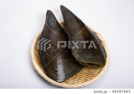 タイラギ　平貝 48397665