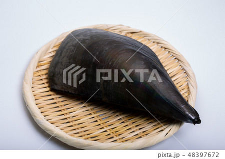 タイラギ　平貝 48397672