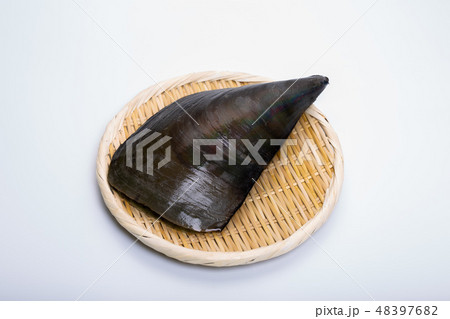 タイラギ　平貝 48397682