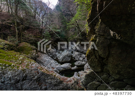 みたらい渓谷 48397730