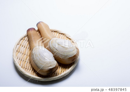 白ミル 48397845
