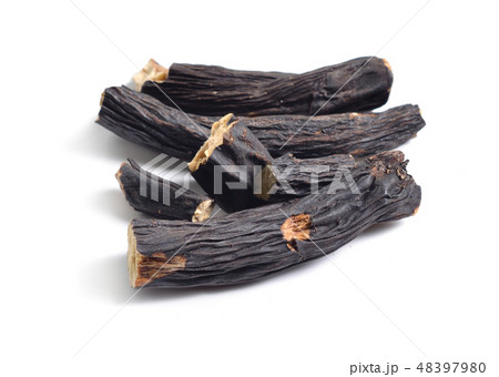 Root of Symphytum 48397980