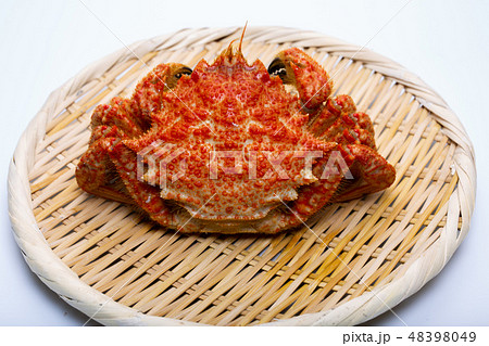 栗蟹 栗蟹 48398049