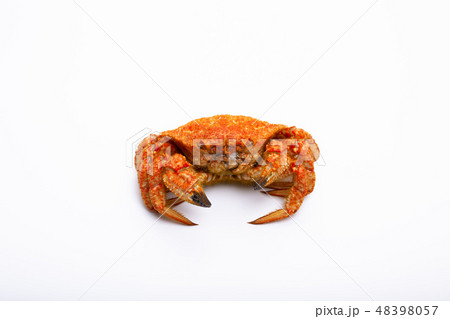 栗蟹 栗蟹 48398057