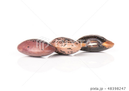 Speckled colored butter beans  isolated on white 48398247