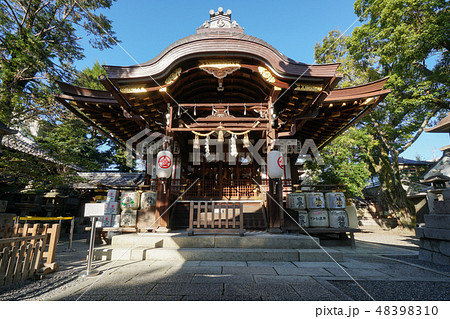安井金比羅宮 本殿 京都市 48398310
