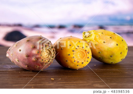 prickly pear opuntia with desert in background 48398536