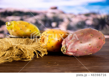 prickly pear opuntia with desert in background prickly pear opuntia with desert in background 48398716