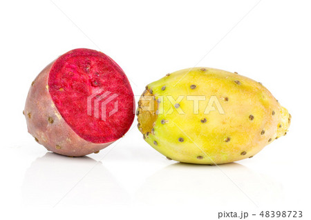 Fresh bright prickly pear opuntia isolated white Fresh bright prickly pear opuntia isolated white 48398723