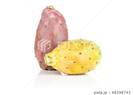 Fresh bright prickly pear opuntia isolated white 48398743