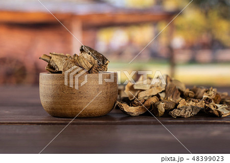 Dry brown mushroom boletus edulis with cart 48399023