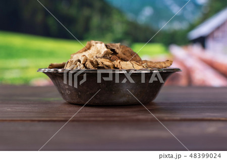 brown mushroom boletus edulis with country nature 48399024