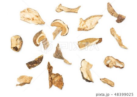 Dry brown mushroom boletus edulis isolated white 48399025