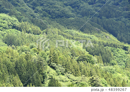 背景素材 48399267