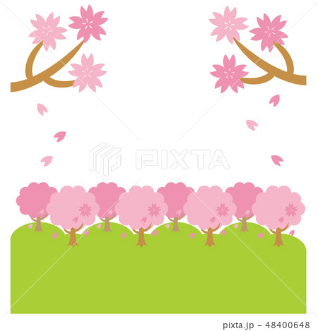 桜の枝 桜並木の背景のイラスト素材