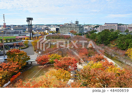 りゅーとぴあ空中庭園の紅葉(新潟県) りゅーとぴあ空中庭園の紅葉(新潟県) 48400659