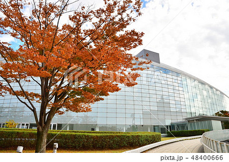 りゅーとぴあ空中庭園の紅葉（新潟県） 48400666