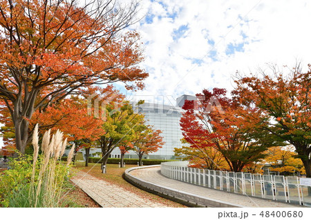 りゅーとぴあ空中庭園の紅葉 新潟県 の写真素材