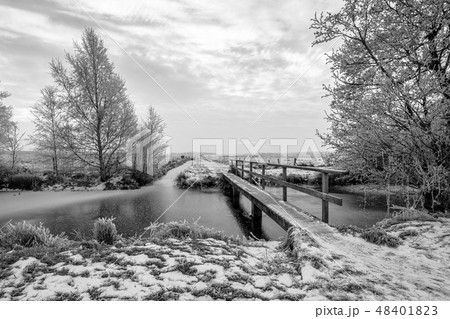 Frozen canal in the province of Drenthe in B&W Frozen canal in the province of Drenthe in B&W 48401823