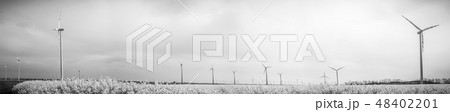 many windmills rotating during windy spring day many windmills rotating during windy spring day 48402201