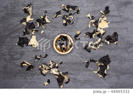 Dry black mushroom jew ear on grey stone 48405332
