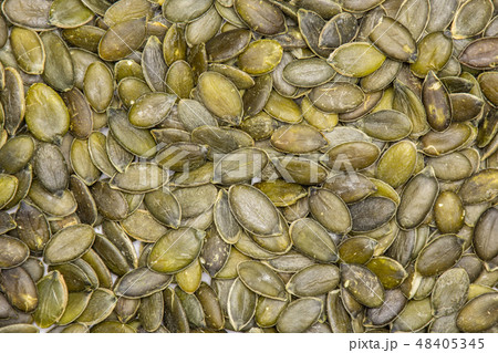 Hulled pumpkin seeds isolated Hulled pumpkin seeds isolated 48405345