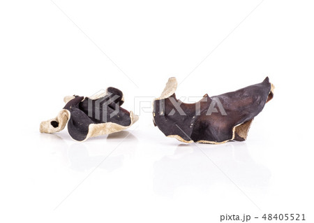 Dry black mushroom jew ear isolated on white 48405521