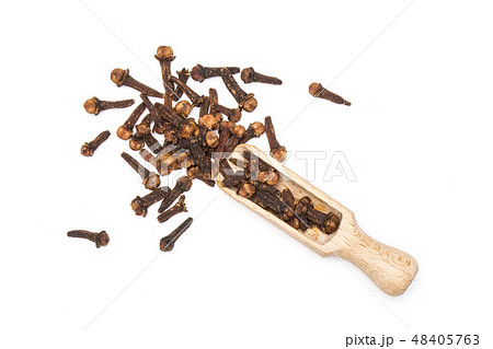 Small dried cloves spice isolated on white 48405763