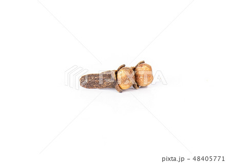 Small dried cloves spice isolated on white 48405771