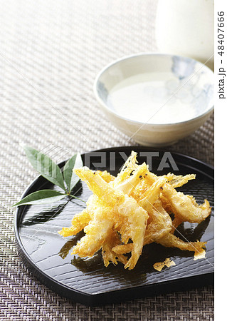 白エビの天ぷら22 48407666