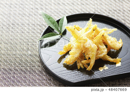 白エビの天ぷら25 白エビの天ぷら25 48407669