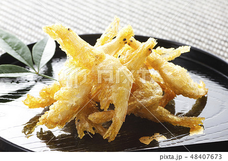 白エビの天ぷら29 48407673