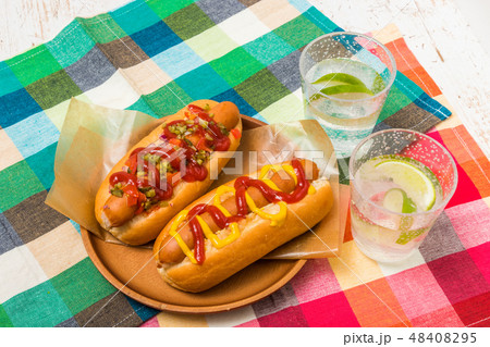 ホットドッグ　hot dog 48408295