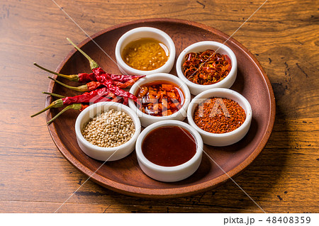 代表的な韓国の料理　typical Korean foods 48408359
