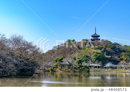 三溪園(横浜市中区、本牧) 三溪園(横浜市中区、本牧) 48408573