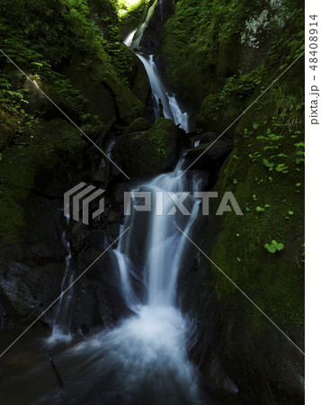 初夏の沌滝(富山県) 初夏の沌滝(富山県) 48408914